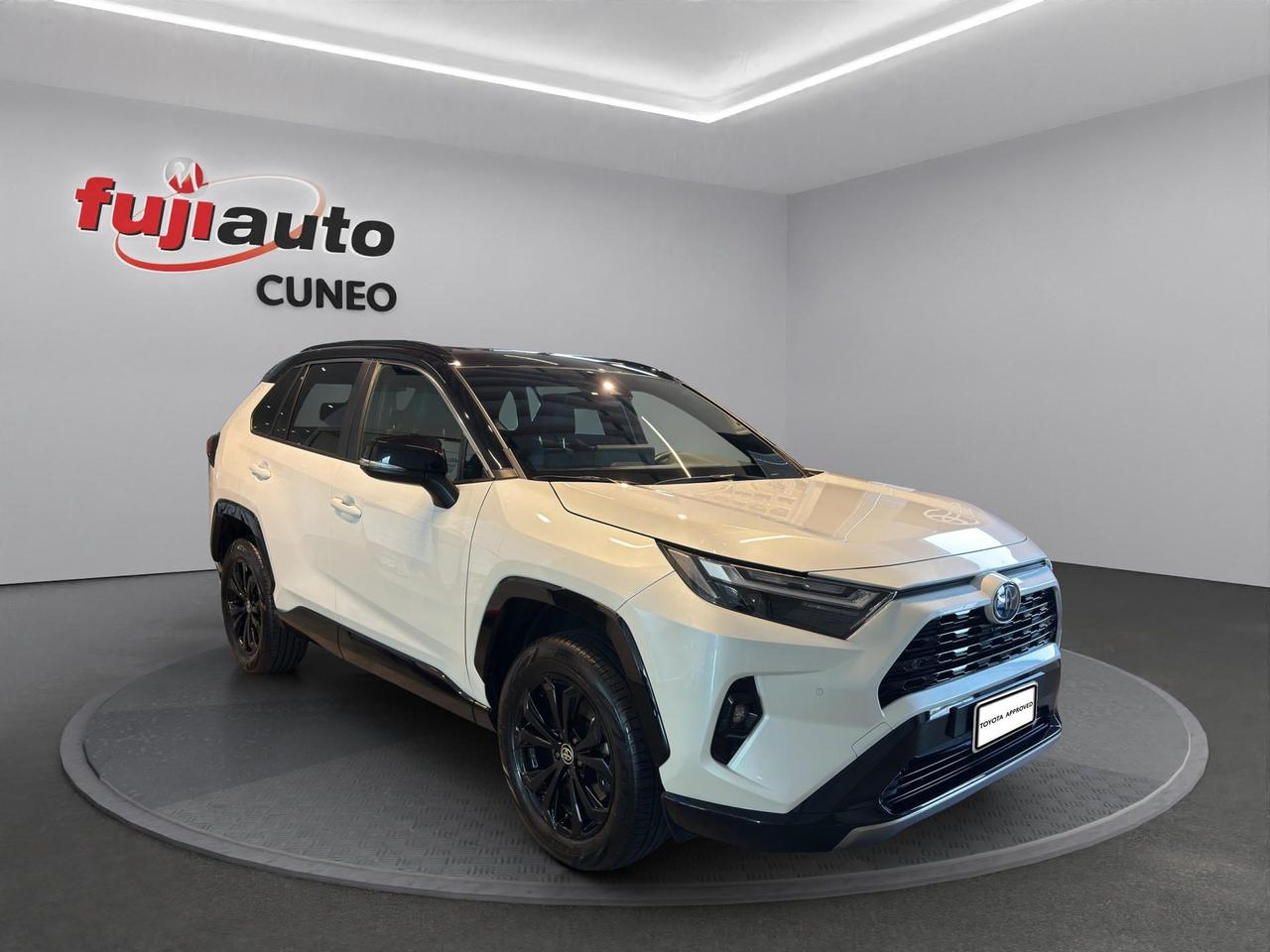 Toyota Rav4 2.5 vvt-ie h Style awd-i 222cv e-cvt