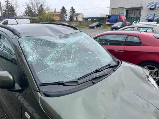 FIAT Panda 1.3 MJT S&S 4x4