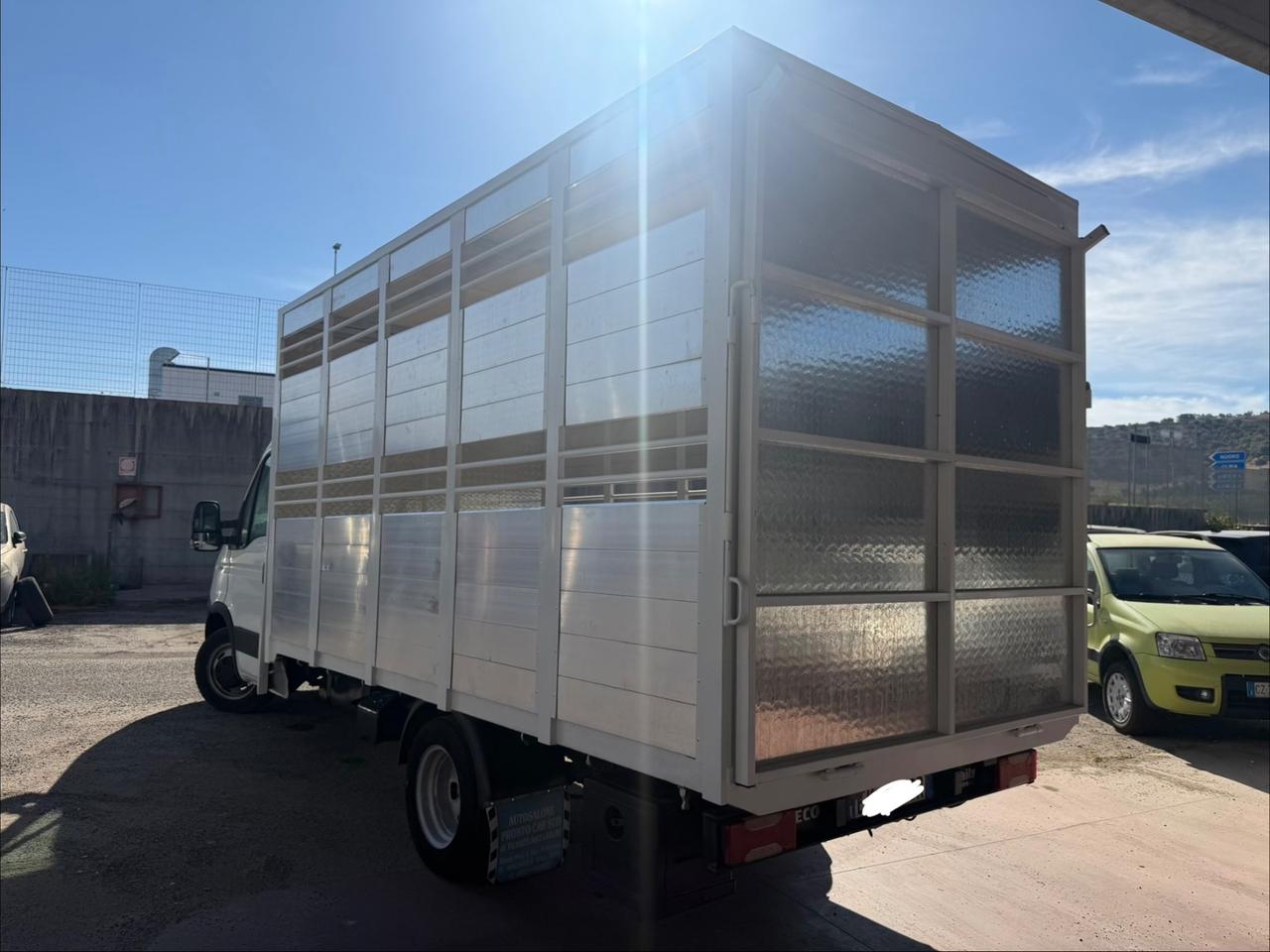 Iveco Daily 35C15 3.0 150cv trasporto animali vivi patente B