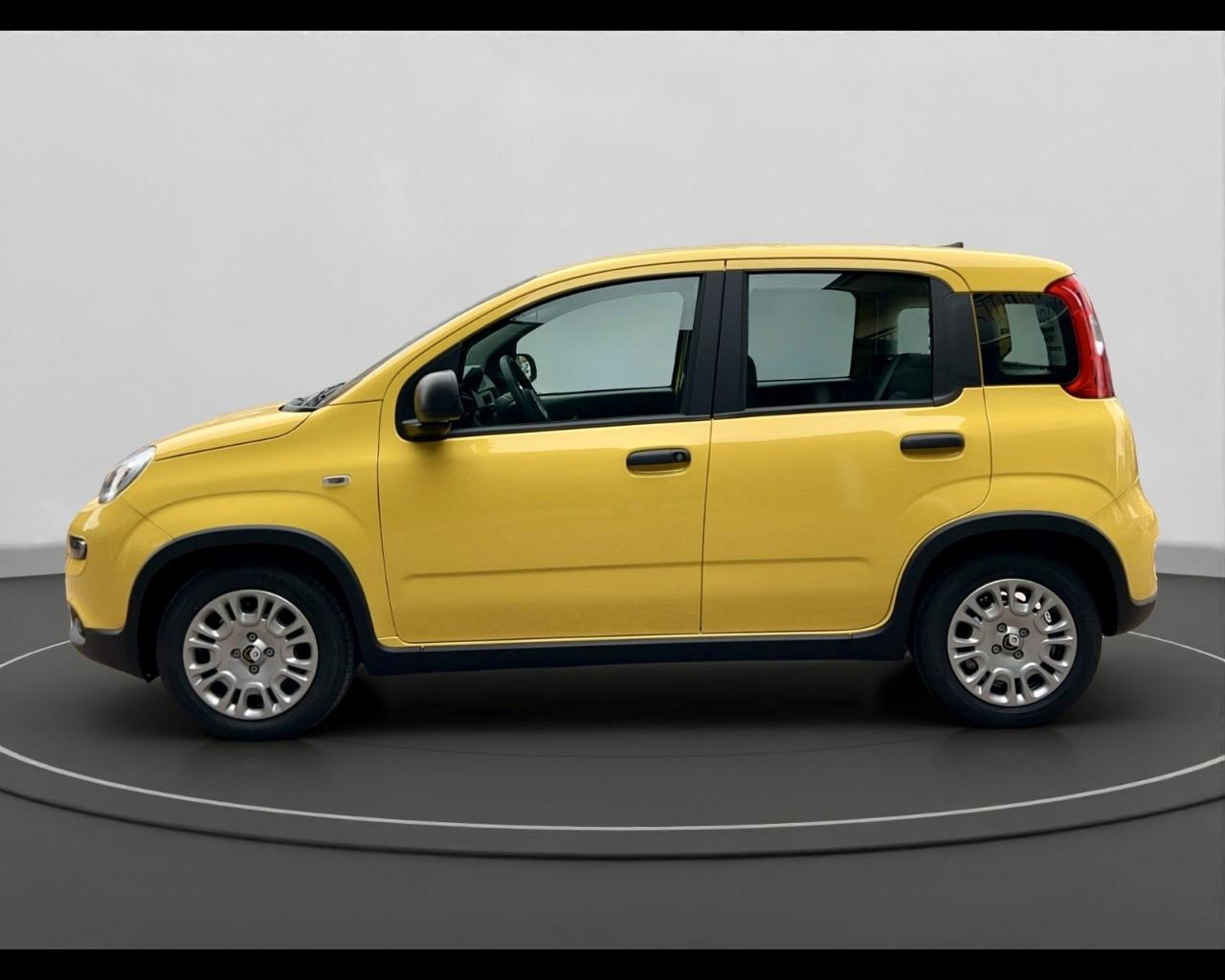 FIAT Panda III 2024 - Panda 1.0 firefly hybrid s&s 70cv