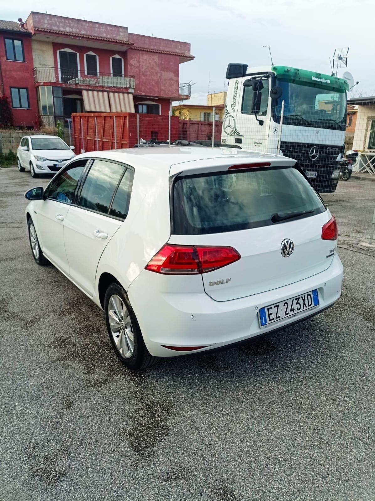 Volkswagen Golf 1.4 TGI DSG 5p. Executive 4 Free BlueMotion