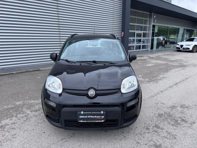 FIAT Panda 1.0 FireFly Hybrid City Life LEGGE 104 IVA ESPOSTA
