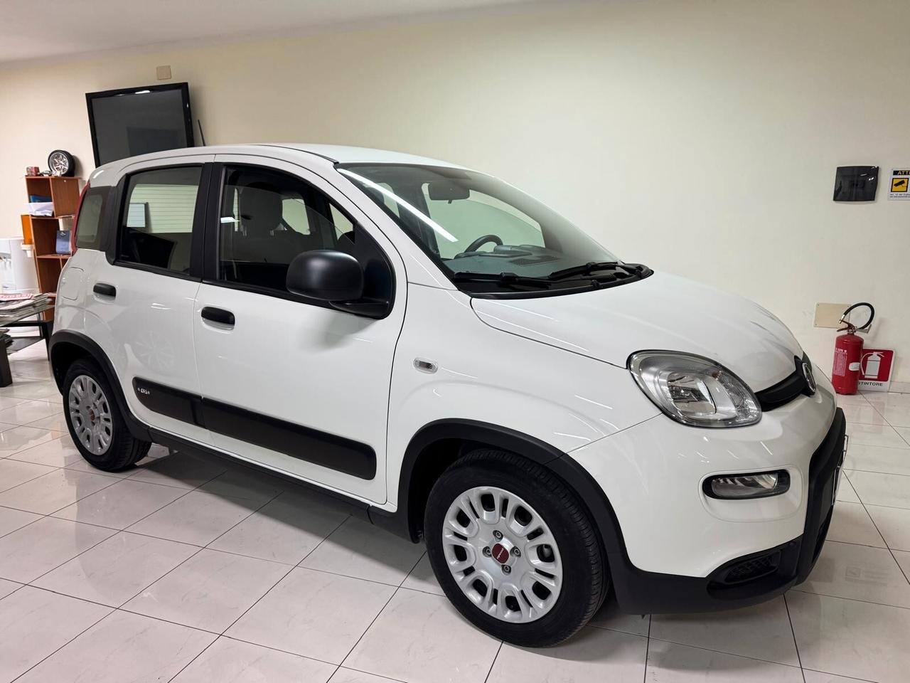 Fiat Panda 1.0 FireFly S&S Hybrid AZIENDALE
