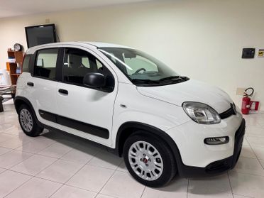 Fiat Panda 1.0 FireFly S&S Hybrid AZIENDALE
