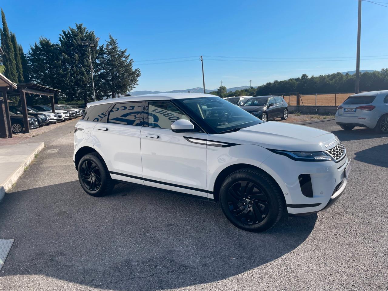 Land Rover Evoque 2.0D I4 163 CV AWD Auto SE