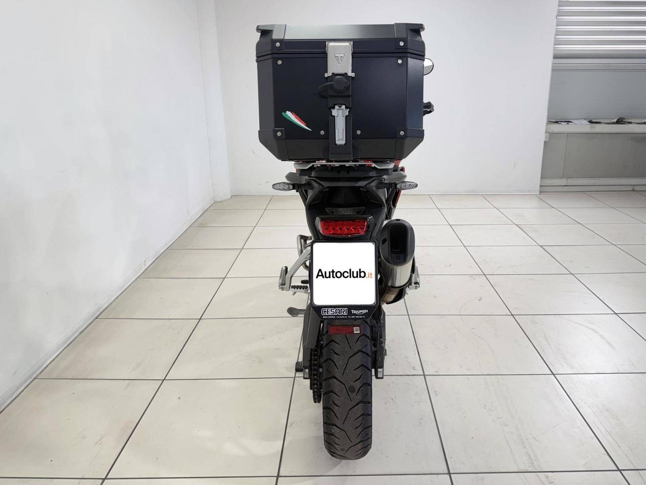 TRIUMPH Tiger 900 GT Pro