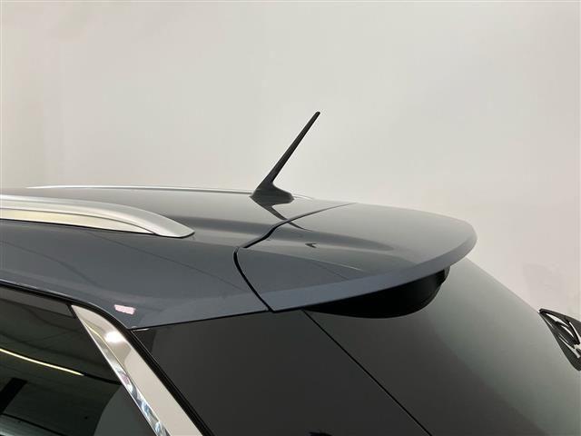 RENAULT Megane Sporter 1.6 E-Tech phev Business 160cv auto