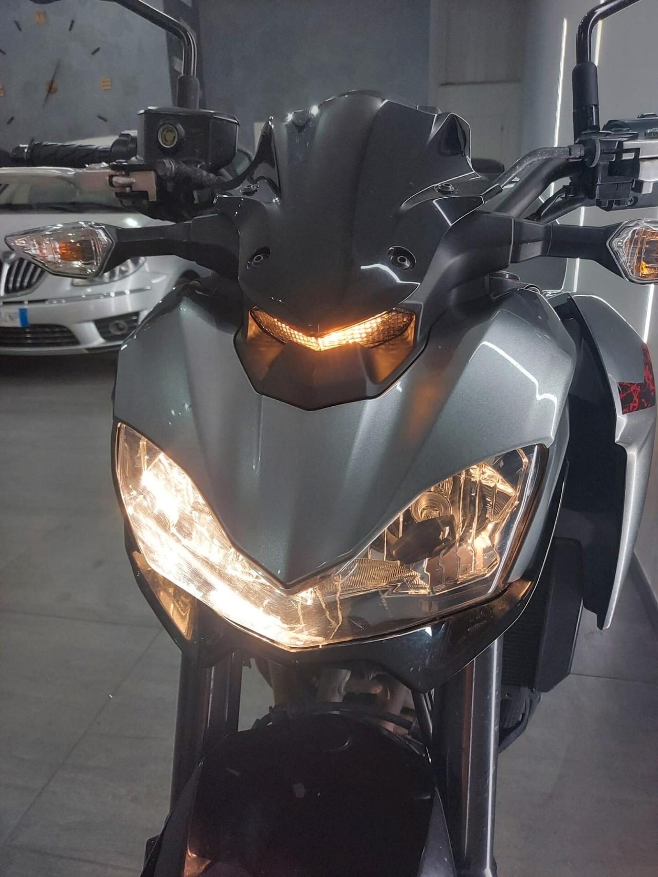 Kawasaki Z 900 2019