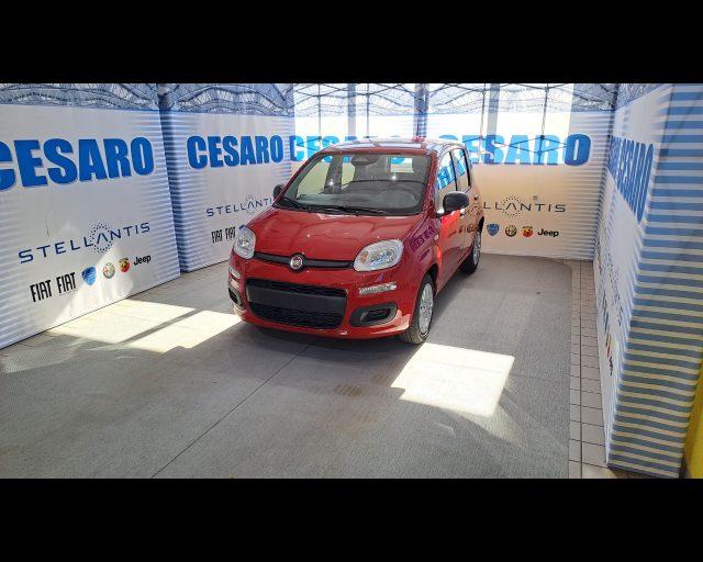 FIAT New Panda 1.0 firefly hybrid s&s 70cv - PACK CITY