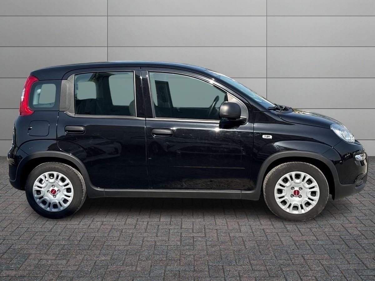FIAT Panda III 2021 - Panda 1.0 firefly hybrid s&s 70cv