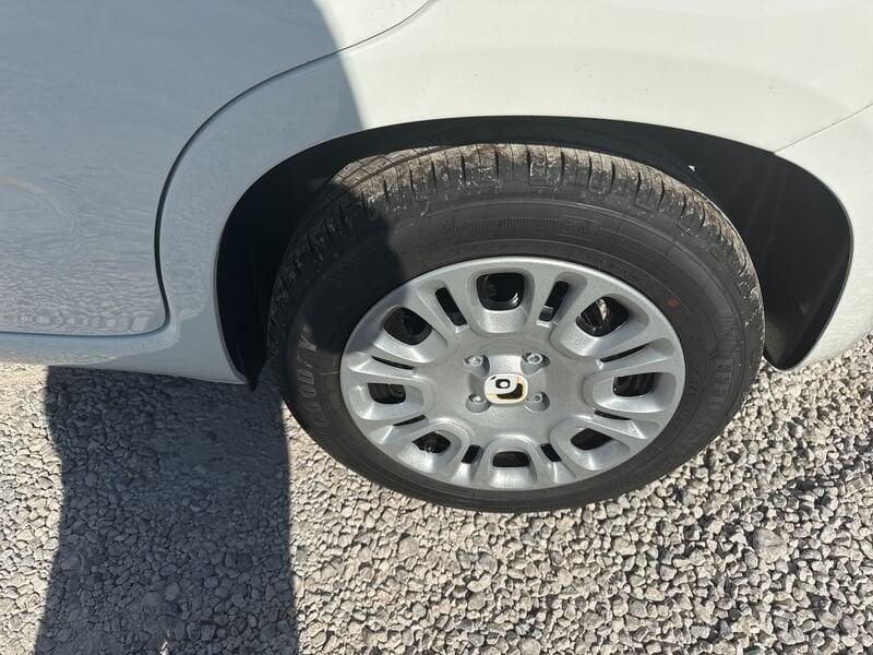 FIAT Panda N. 1.0 70cv Hybrid Panda