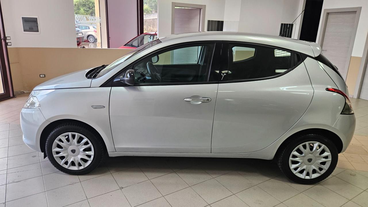 Lancia Ypsilon 1.2 69 CV 5 porte Elefantino