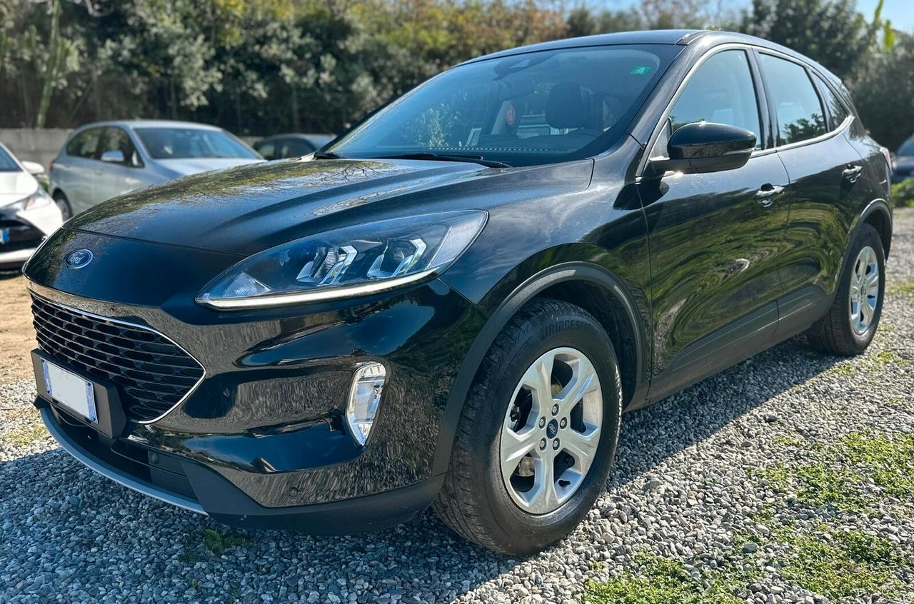 Ford Kuga 1.5 EcoBlue 120 CV aut. 2WD Connect