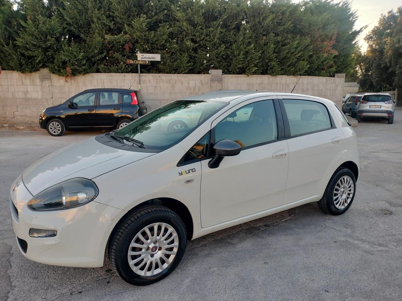 Fiat Punto 1.4 8V 5 porte Natural Power Young