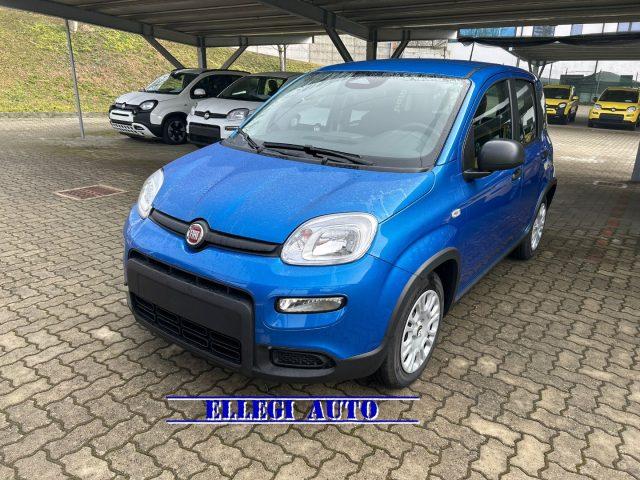 FIAT Panda PROMO FINANZ.PANDINA 1.0 Hybrid KM 0