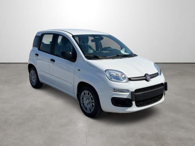 FIAT Pandina 1.0 FireFly 65 CV Hybrid Icon