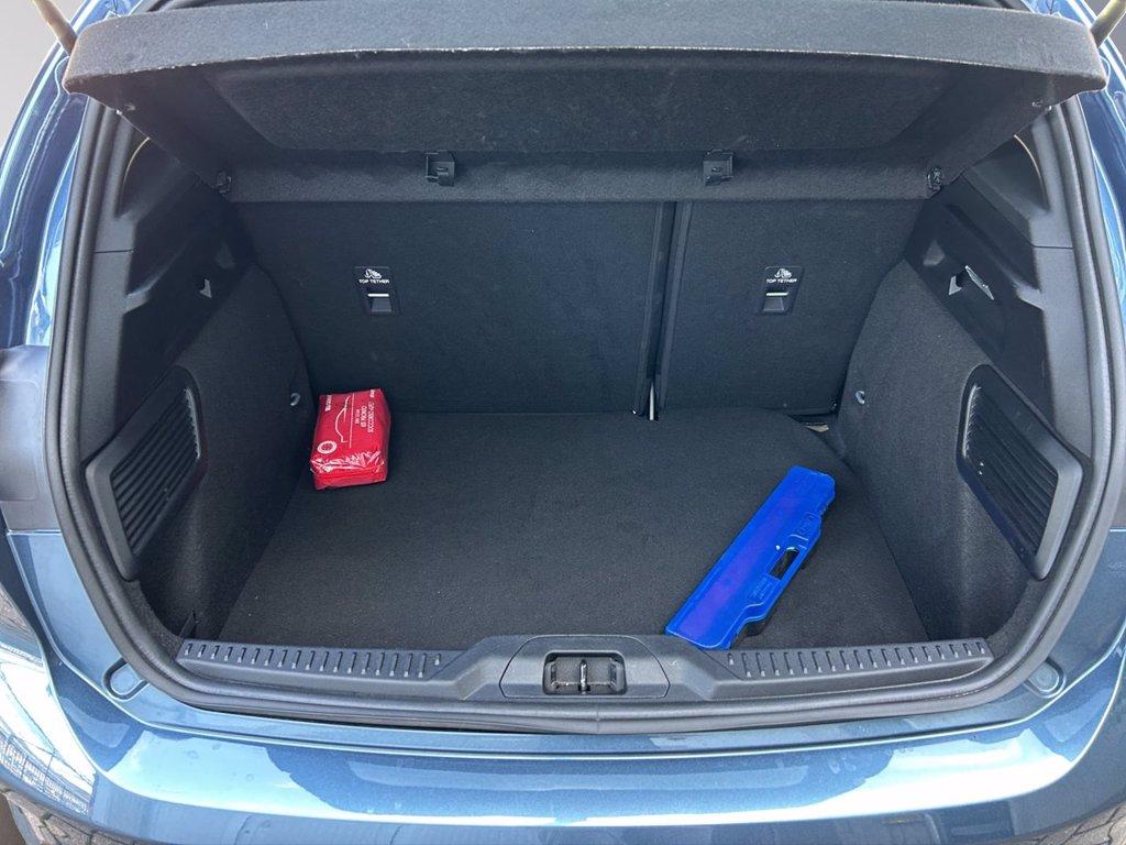 FORD Focus ecoblue ST-Line X Automatica 5 porte del 2023