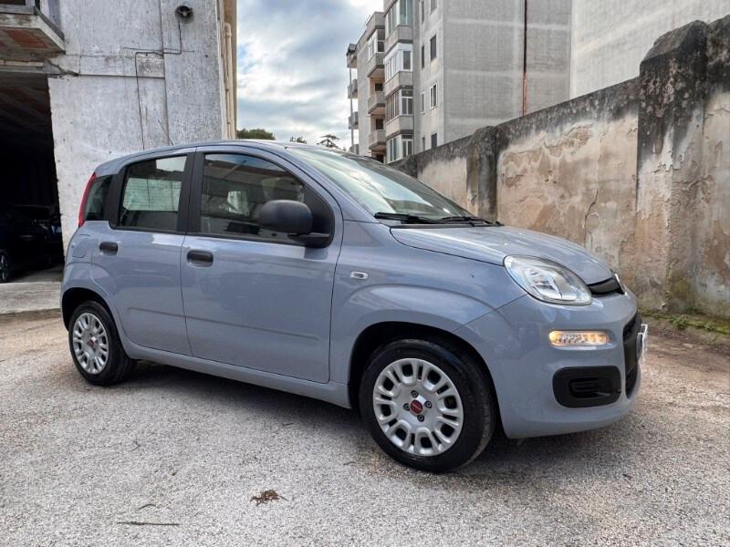 FIAT Panda 3ª serie Panda 1.0 FireFly S&S Hybrid