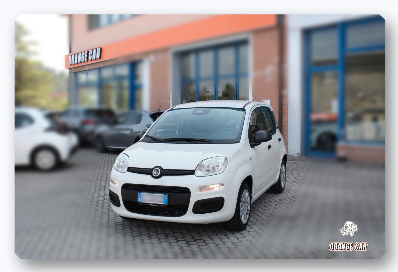 Fiat Panda 1.0 FireFly S&S Hybrid Pandina