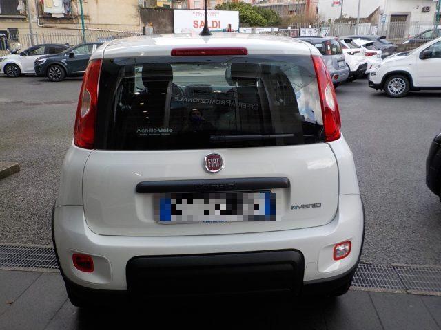 FIAT Panda MY25 - 1.0 FireFly Hybrid POP