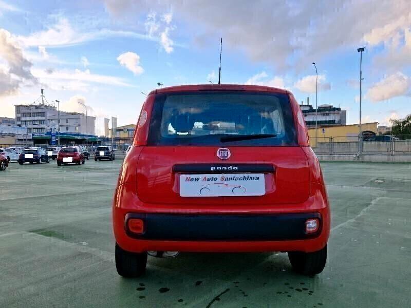 Fiat New Panda 1.2 69 CV S&S Easy 11/2018