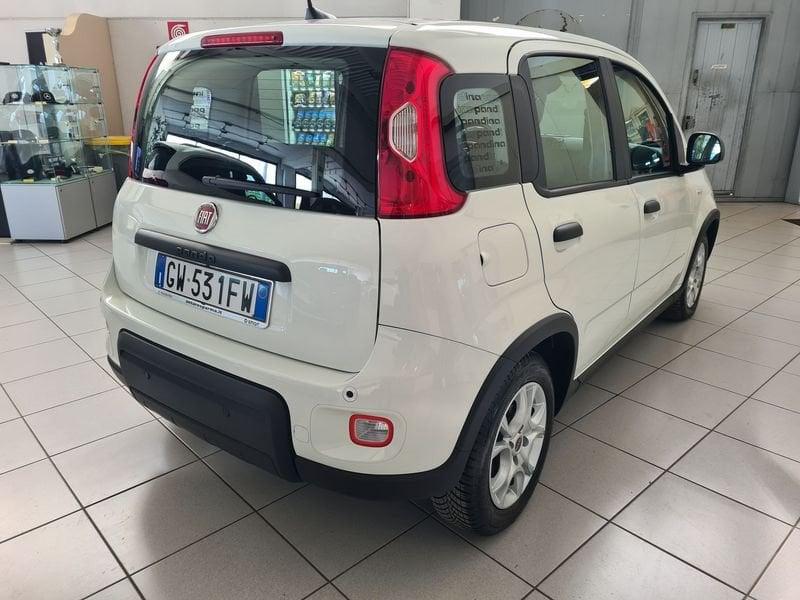 FIAT Panda 1.0 FireFly 70cv S&S Hybrid Pandina