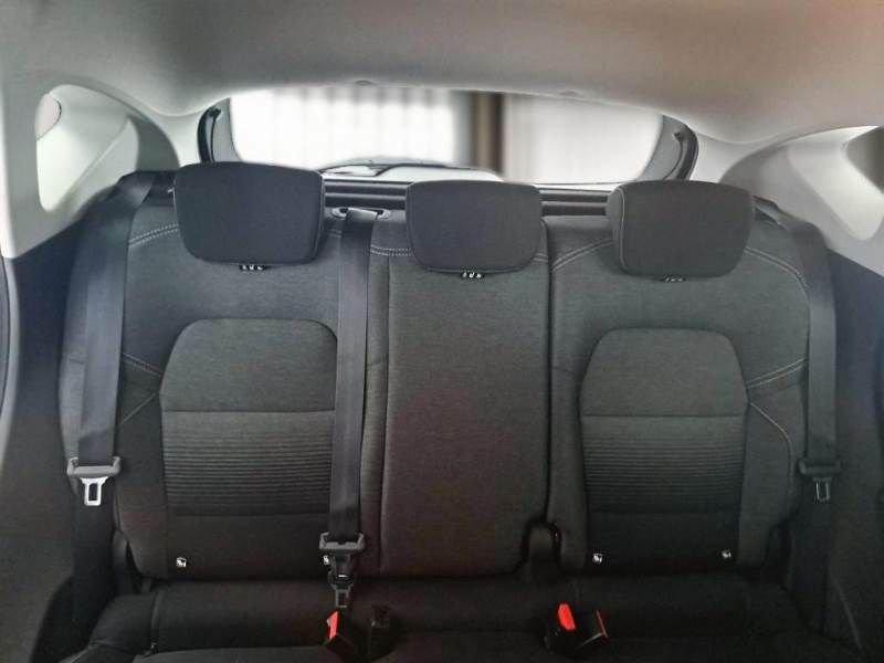 Renault Captur Blue dCi 8V 115 CV EDC Business