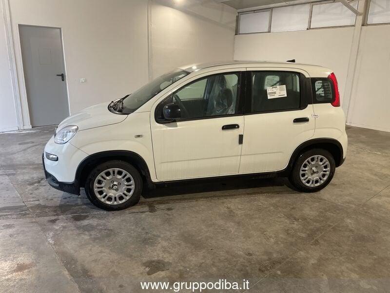FIAT Panda III 2024 1.0 firefly hybrid s&s 70cv