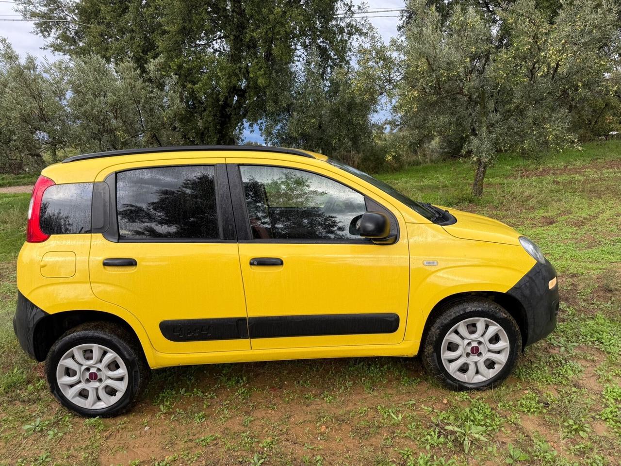 Fiat Panda 1.3 MJT S&S 4x4