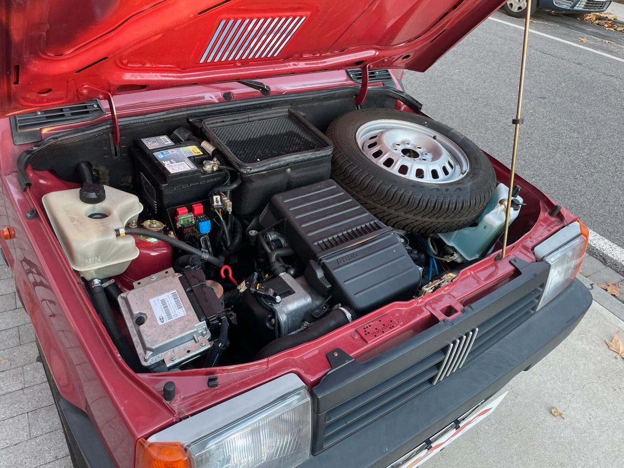 Fiat Panda 1100 i.e. cat Young