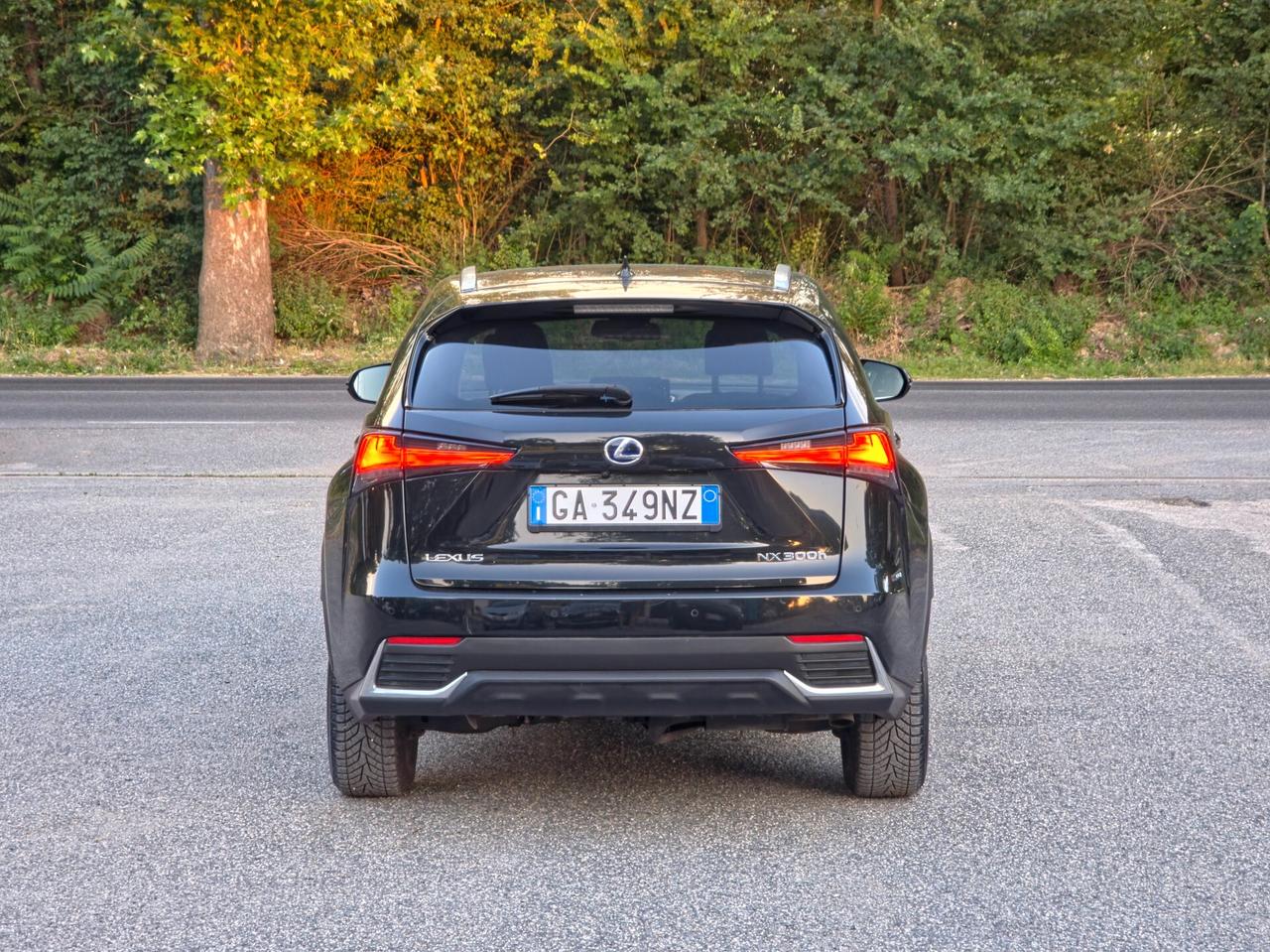 Lexus NX 300h Hybrid 4WD F-Sport E6 Automatico 2020