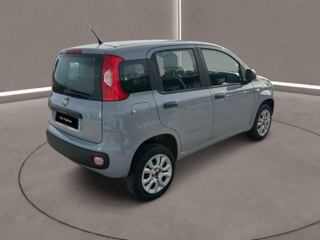 FIAT Panda 3ª serie - 0.9 TwinAir Turbo Natural Power Easy