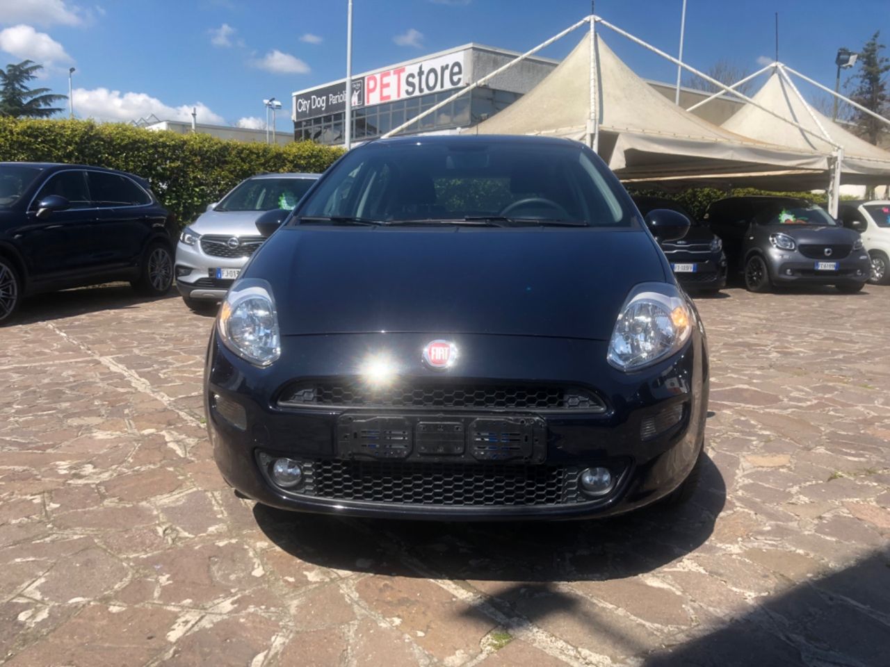 Fiat Punto 1.3 MJT II S&amp;S 95 CV 5 porte Lounge