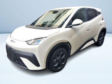 BYD Dolphin Surf Comfort