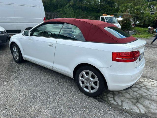 AUDI A3 Cabrio 1.6 TDI 105 CV CR Ambition