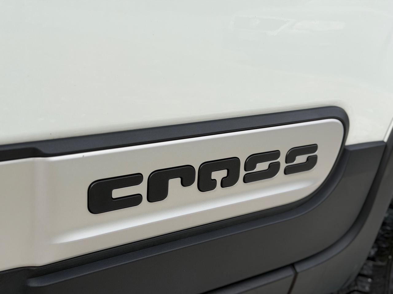 Fiat Panda Cross 4x4 “ 80 Mila Km CERTIFICATI “