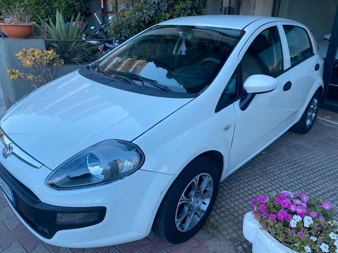 Fiat Punto Evo 1.3 Mjt 75 CV 5 porte Active