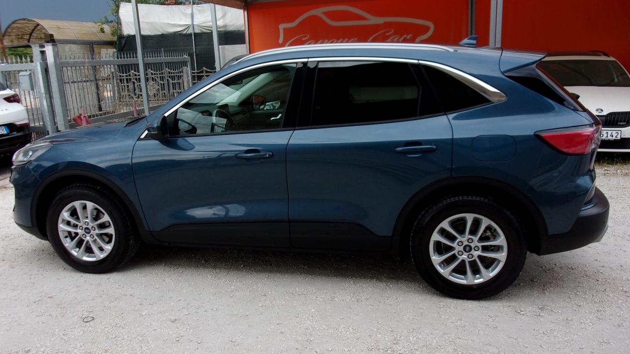 Ford Kuga 1.5 EcoBlue 120 CV 2WD Titanium