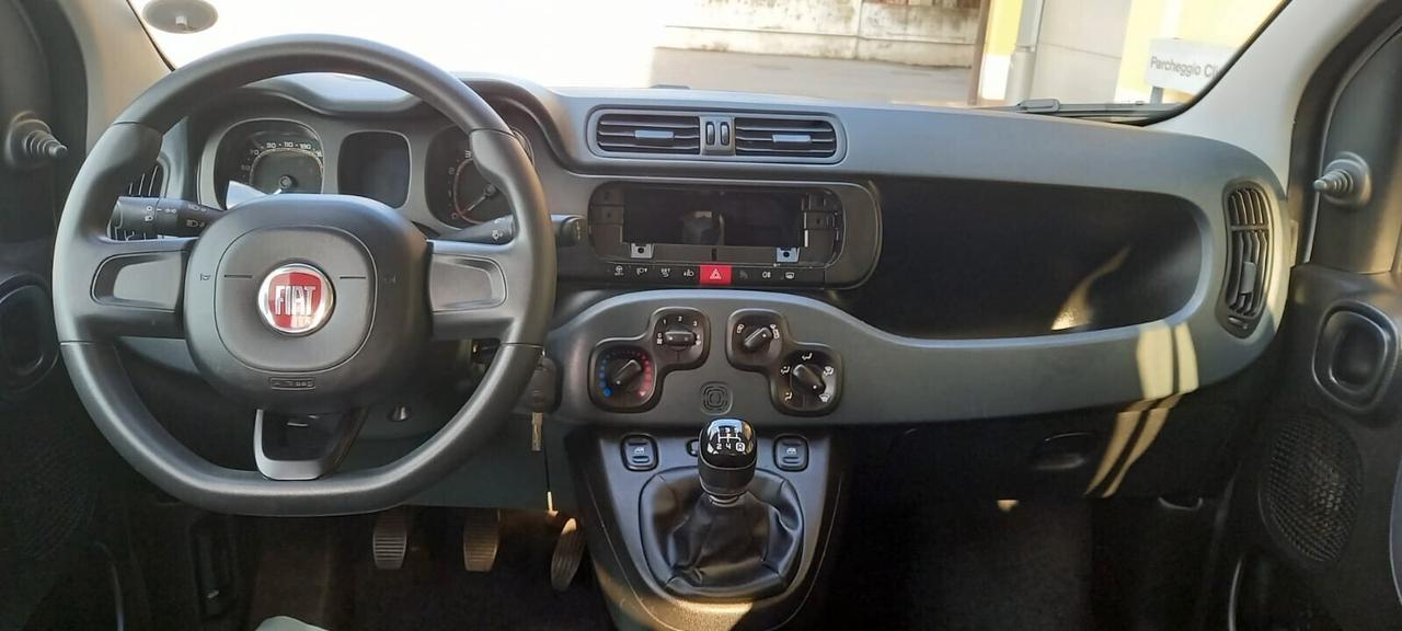 Fiat Panda Benzina cc. 1.242 5 Porte 5 Posti SOLO 55.075 Chilometri Utilizzabile anche per i Neopatentati.