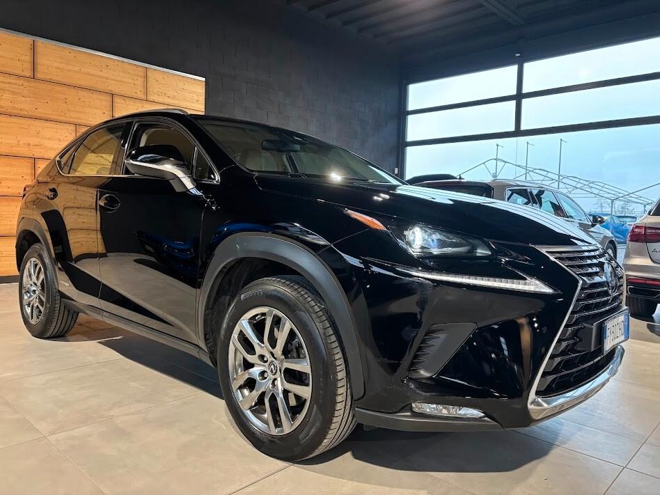 Lexus NX 300h Hybrid 4WD Executive 155cv