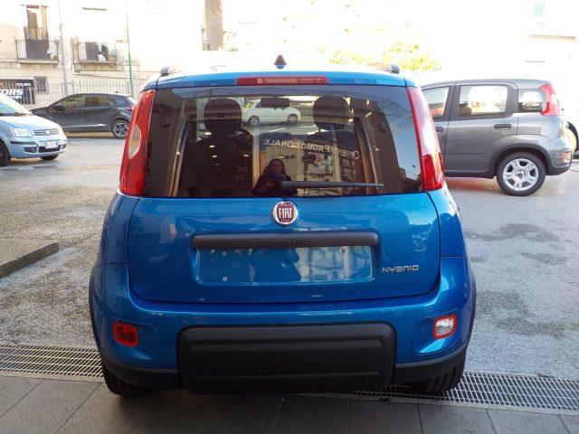 FIAT Panda MY25 - 1.0 FireFly Hybrid ICON