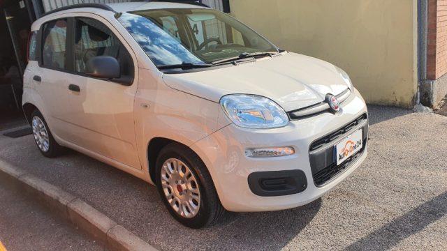FIAT Panda 1.2 EasyPower Easy PREZZO REALE - NEOPATENTATI