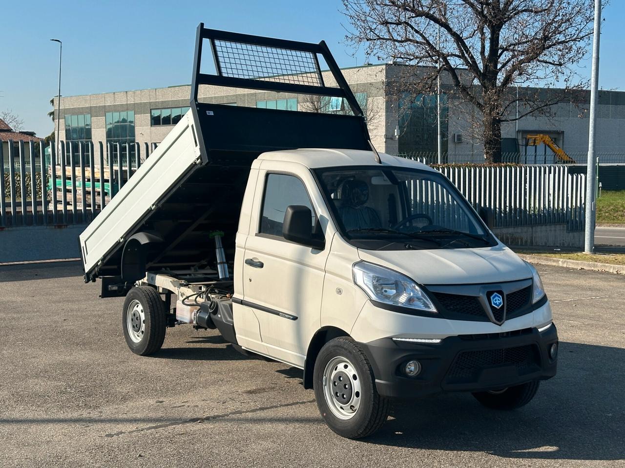 Piaggio Porter NP6 1.5 Long Range LPG Cassone Ribaltabile