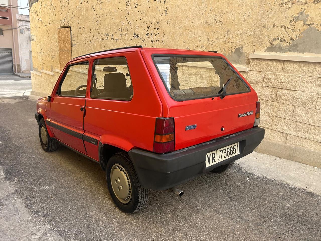 Fiat Panda 900 i.e. cat Young