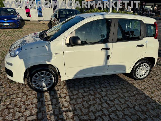 FIAT Panda 1.0 FireFly S&S Hybrid ITA PACK CITY NO VINCOLI