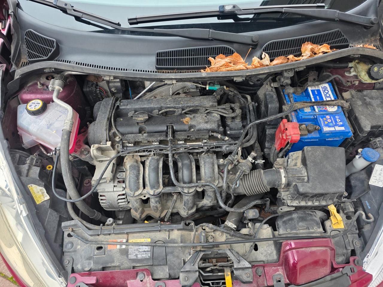 Ford Fiesta 1.2 16V 5p. Clever