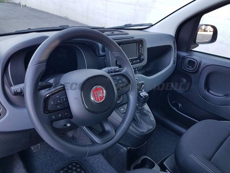 FIAT Panda Panda 1.0 70cv Hybrid Icon