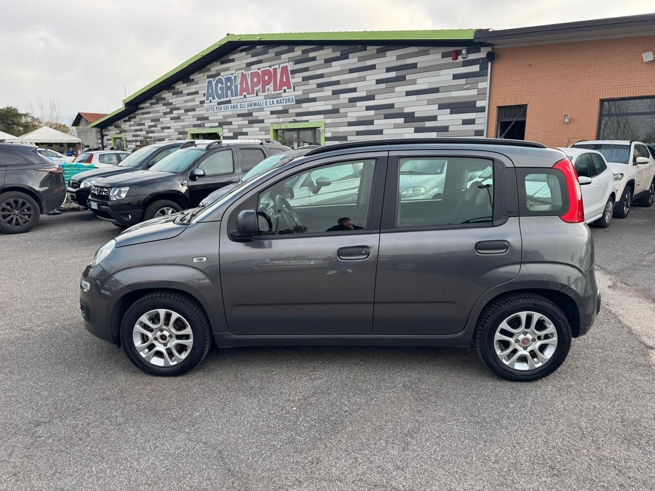Fiat Panda 1.2 BENZINA 69CV EASY
