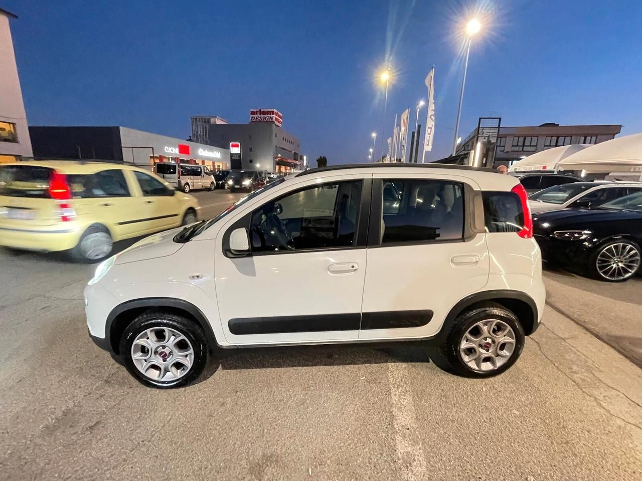 Fiat Panda 1.3 MJT S&S 4x4 Antartica