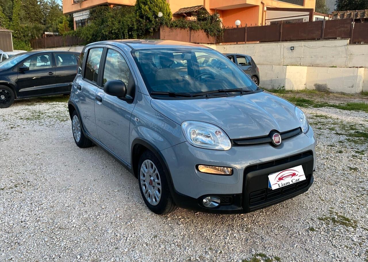 Fiat Panda 1.0 Hybrid City Life Ok Neop.